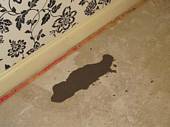 Under Carpet